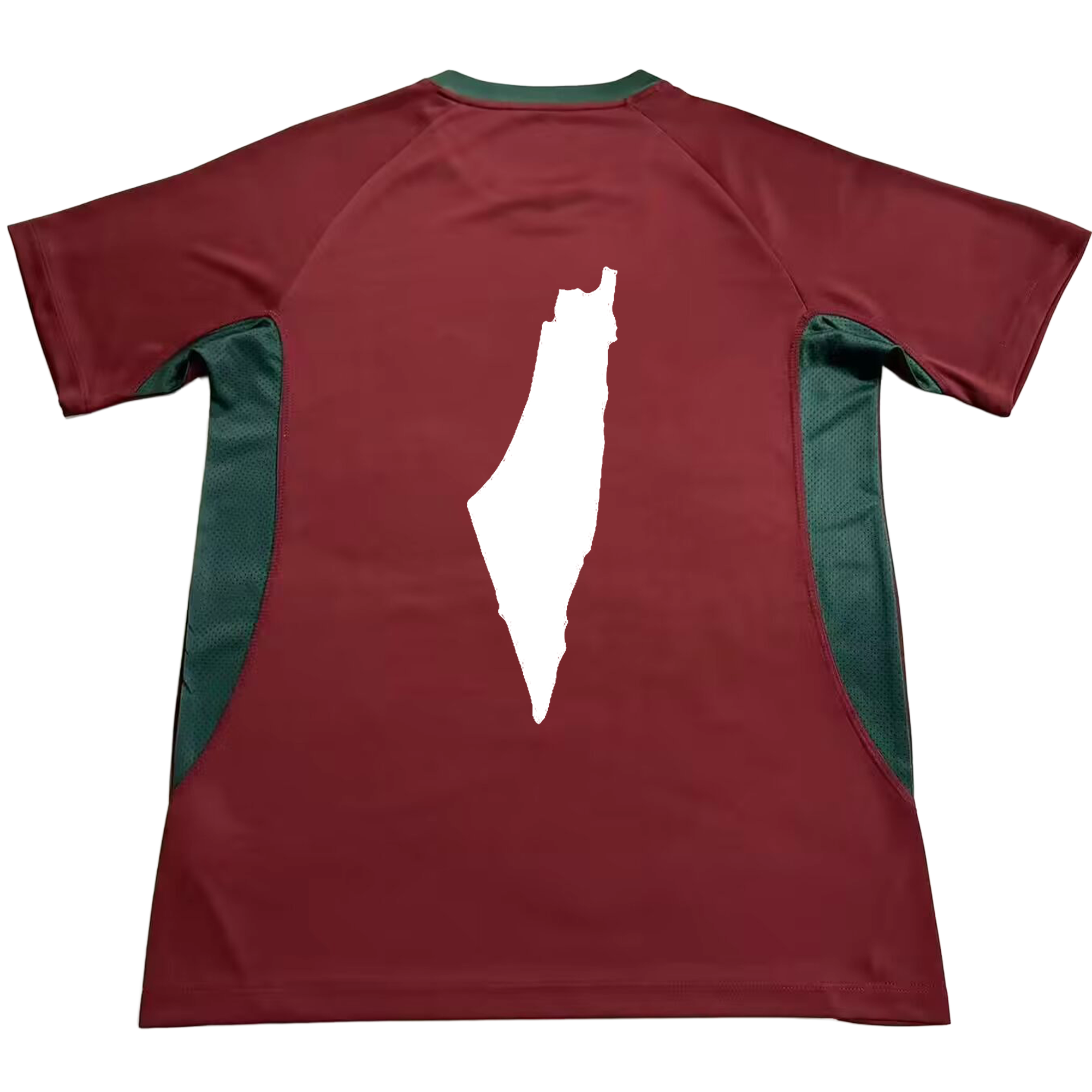 Fluminense Treino 26/27 x Palestina Livre