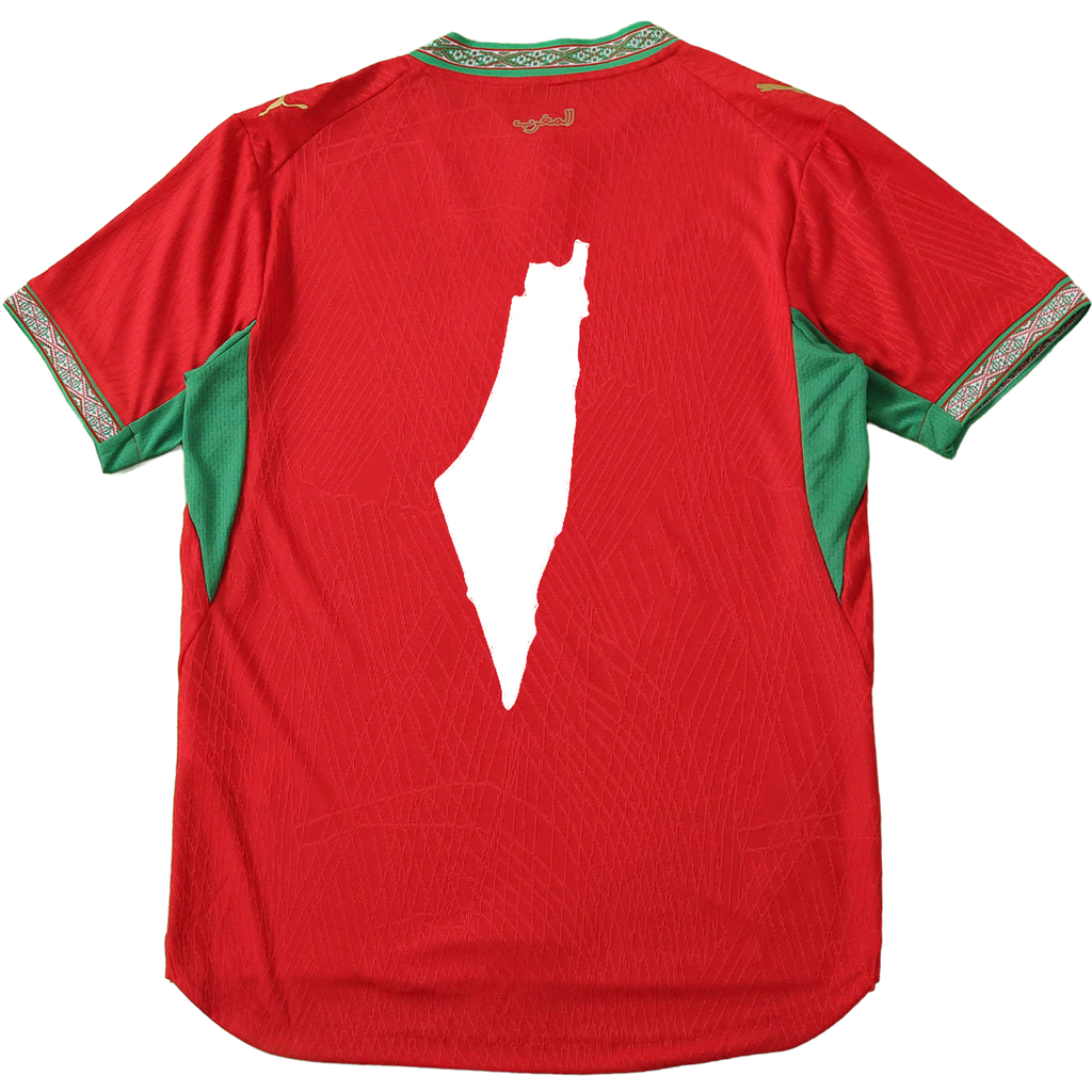 Cruzeiro 26/27 Shirt x Free Palestine
