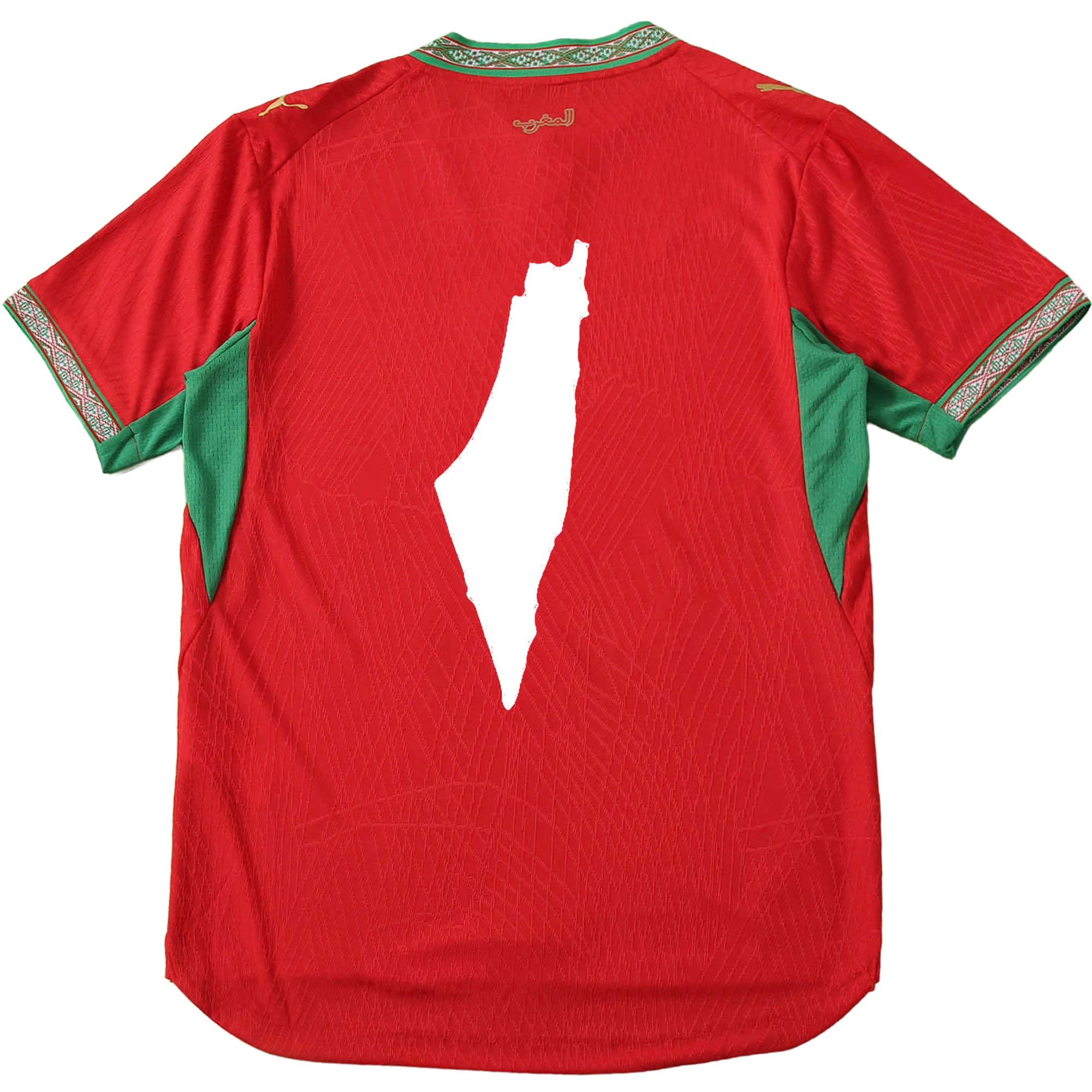 Cruzeiro 26/27 Shirt x Free Palestine
