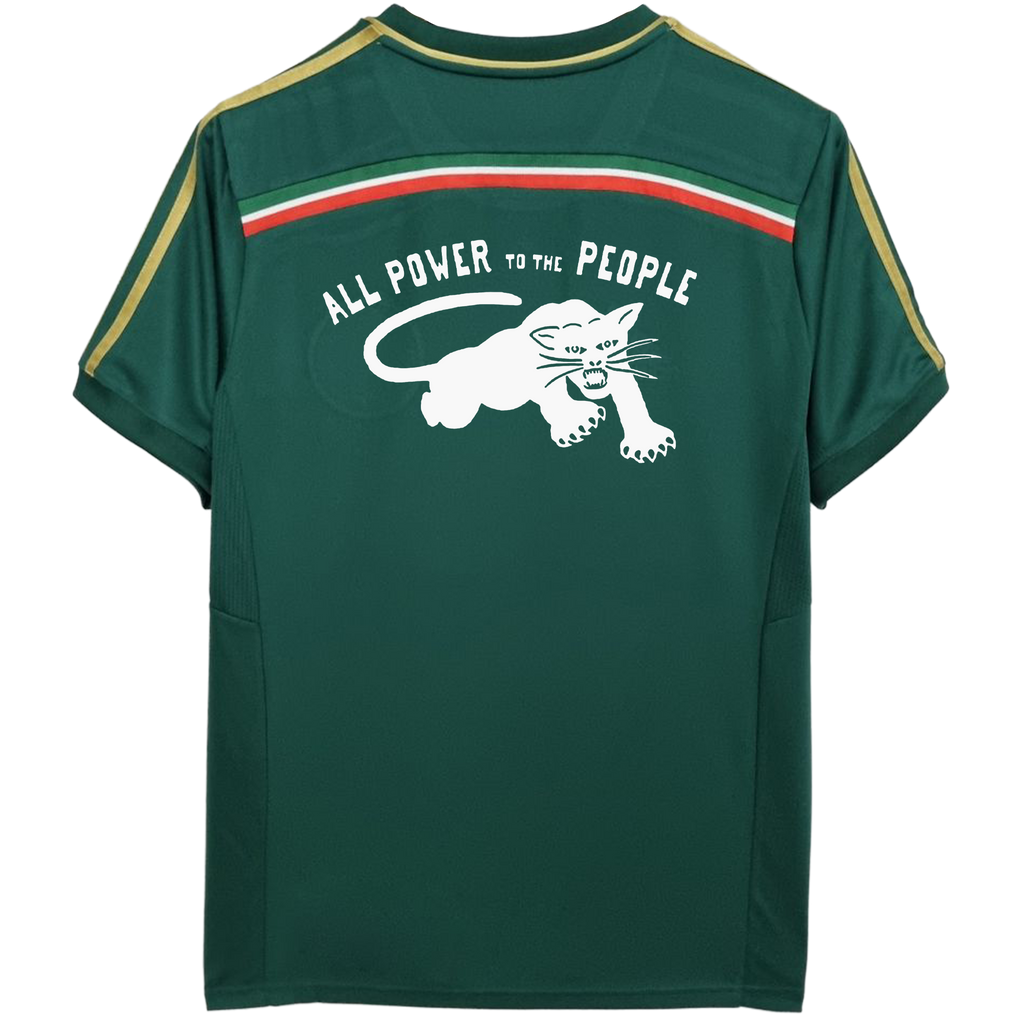 Camisa Palmeiras 15/16 retrô x Panteras Negras vol.2