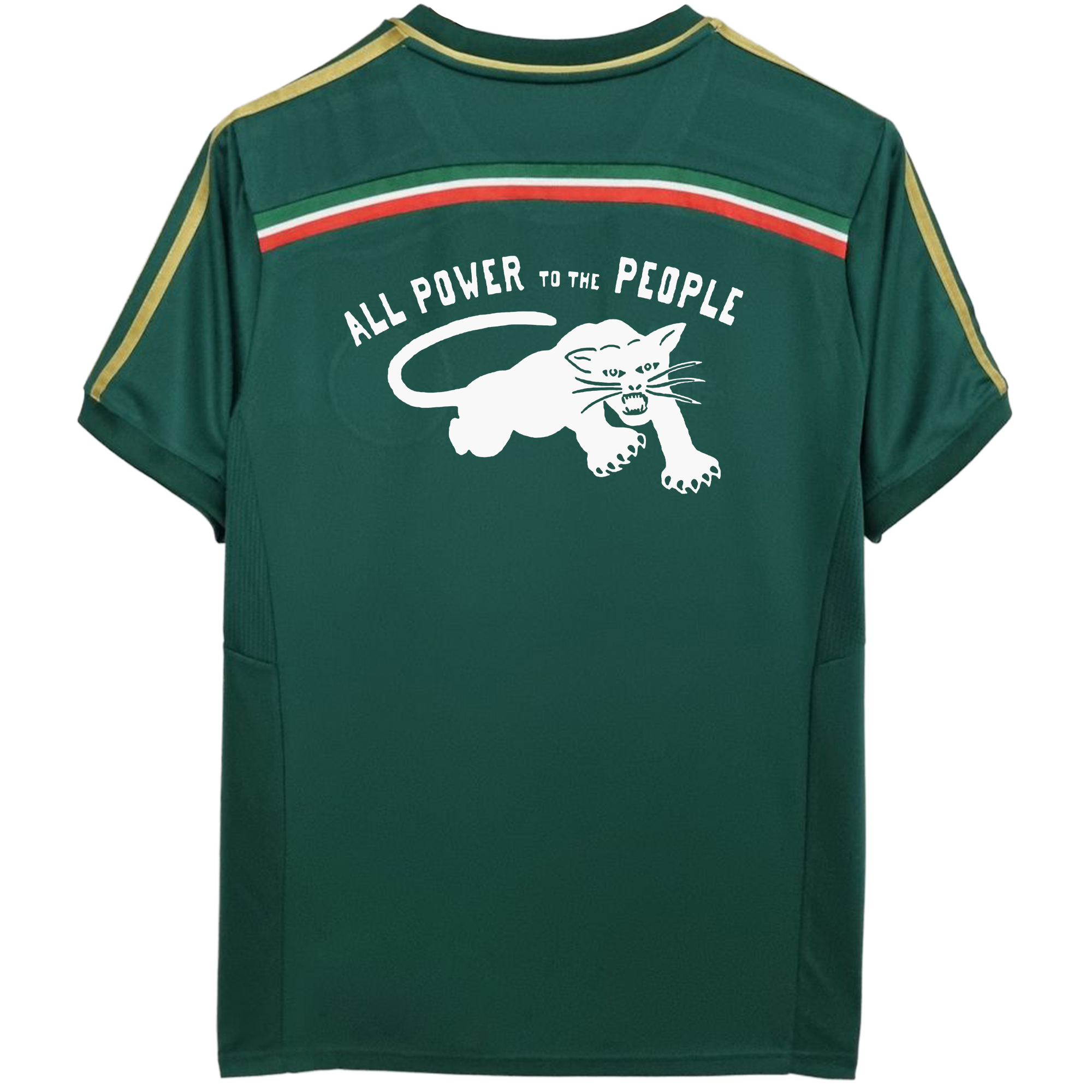 Camisa Palmeiras 15/16 retrô x Panteras Negras vol.2