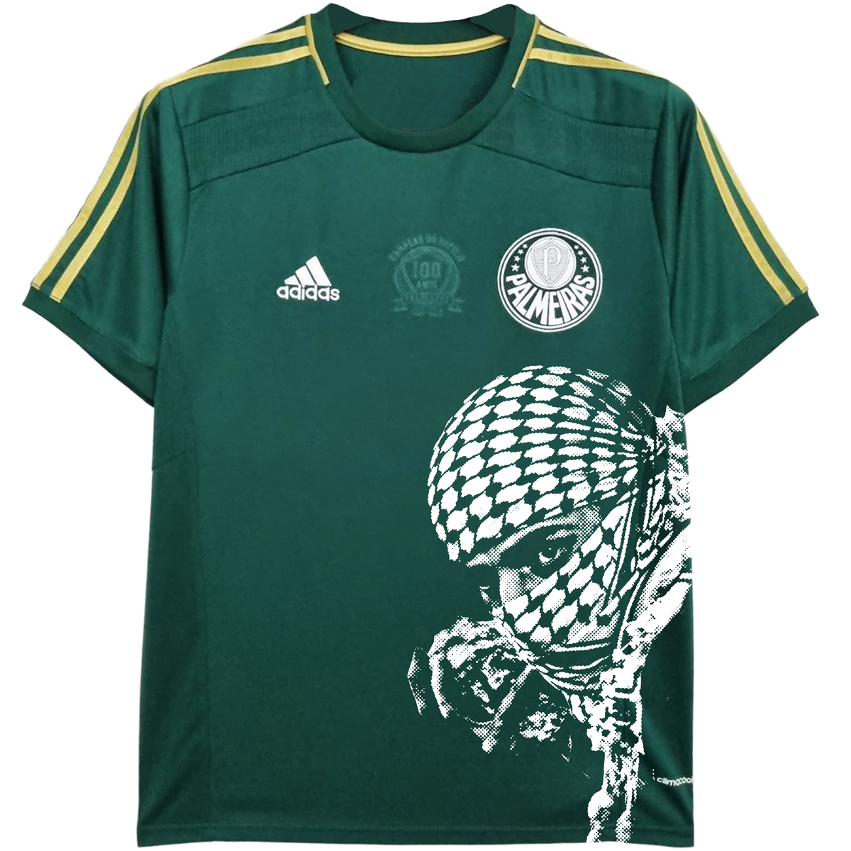 Camisa Palmeiras 15/16 retrô x Palestina Livre